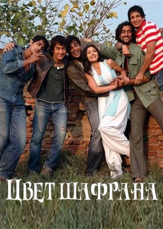 Цвет шафрана