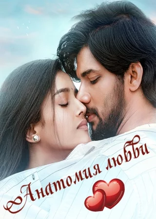 Анатомия любви